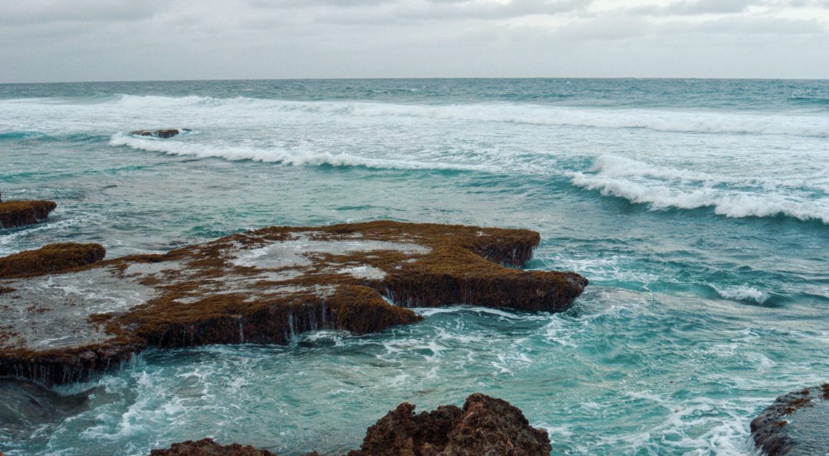 Somalia ocean (2)