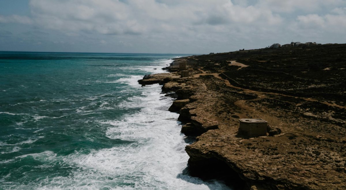 marine biodiversity in somalia