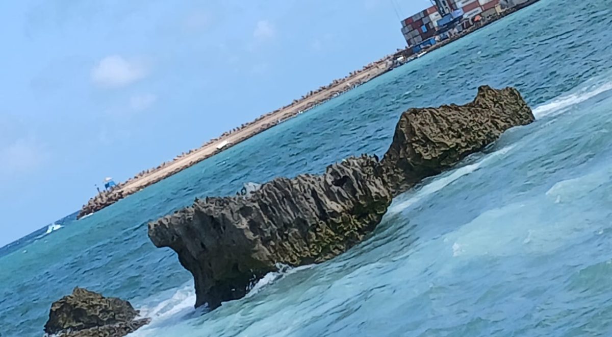 urubo rocky shore Somalia (2)